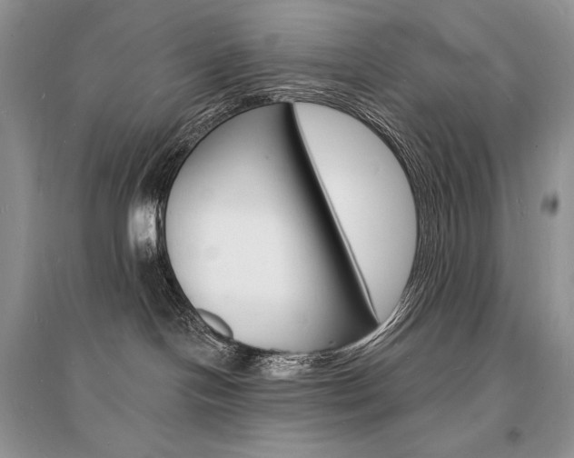 X0000096390094200801241127