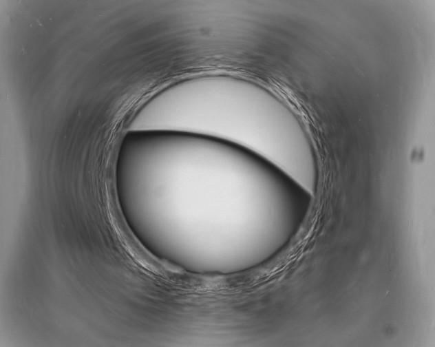 X0000096390097200801241126