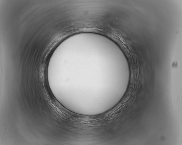 X0000096390098200801241126