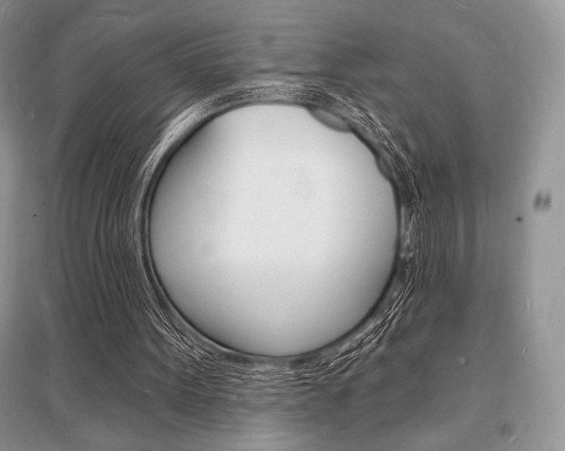 X0000096390099200801241126