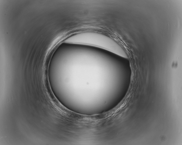 X0000096390101200801241126