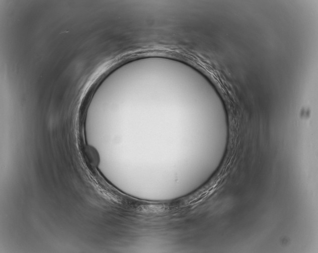 X0000096390102200801241126
