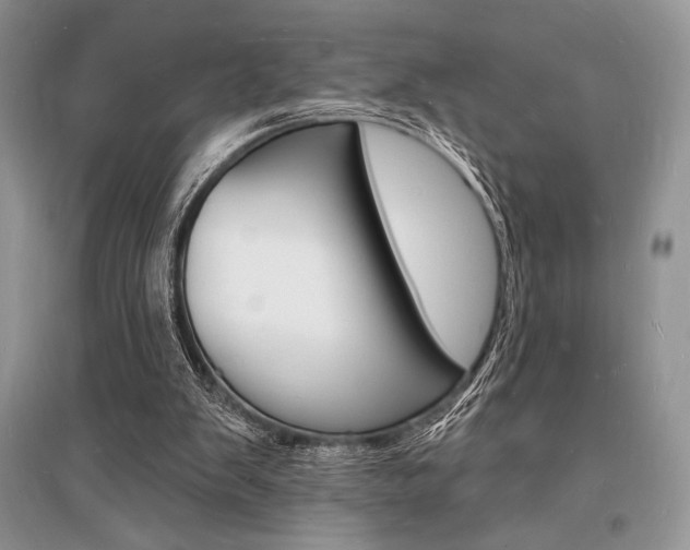 X0000096390103200801241126