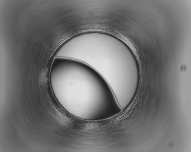 X0000096390105200801241126