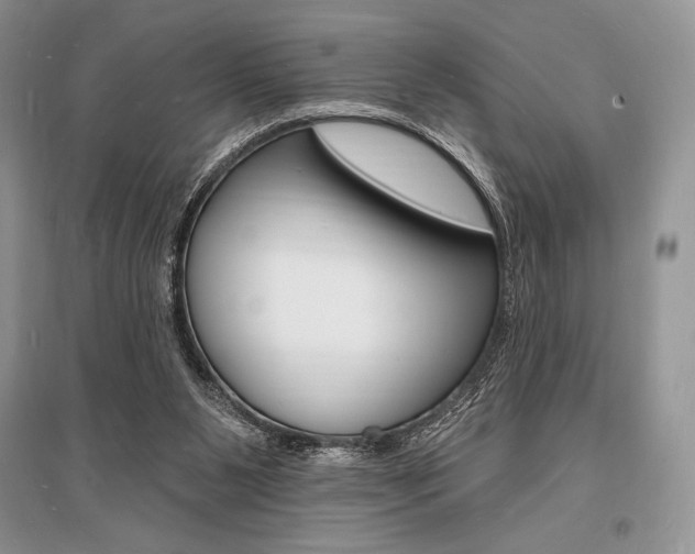 X0000096390111200801241126