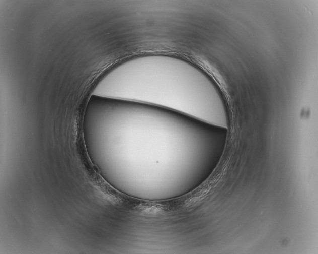 X0000096390113200801241126