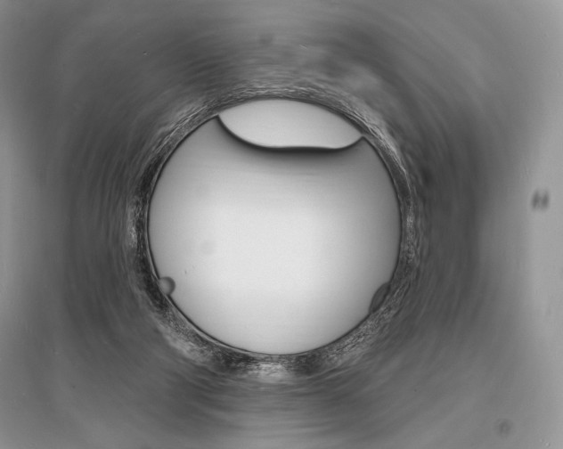 X0000096390114200801241126