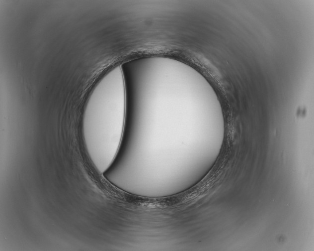 X0000096390115200801241126