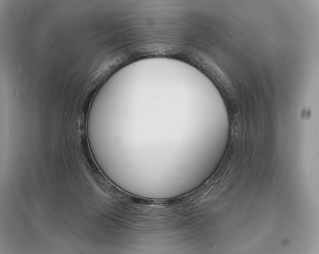 X0000096390119200801241126