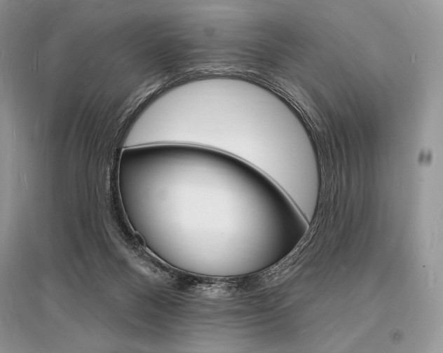 X0000096390120200801241126
