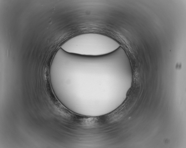 X0000096390122200801241126