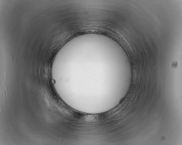 X0000096390126200801241125