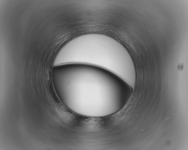 X0000096390128200801241125