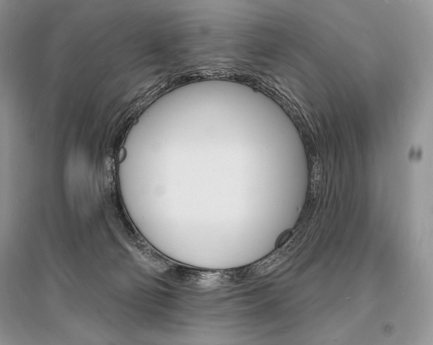 X0000096390130200801241125