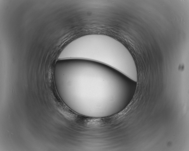 X0000096390132200801241125