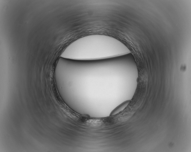 X0000096390133200801241125