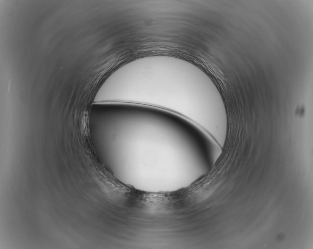 X0000096390141200801241125