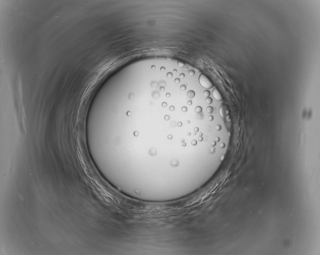 X0000096390145200801241124