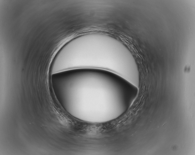 X0000096390148200801241124