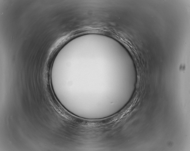 X0000096390149200801241124