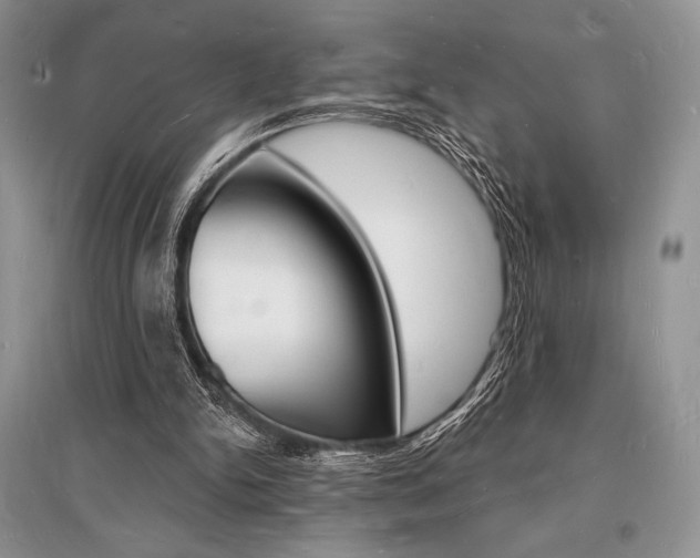 X0000096390150200801241124