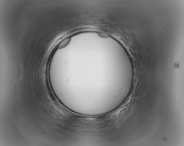 X0000096390151200801241124