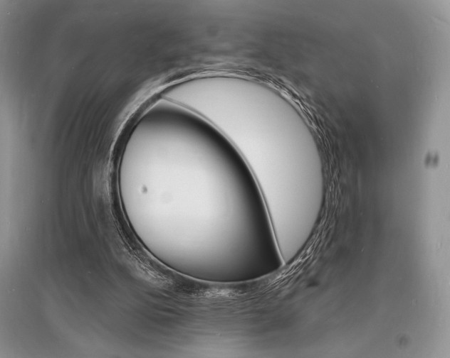 X0000096390152200801241125
