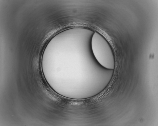 X0000096390155200801241125