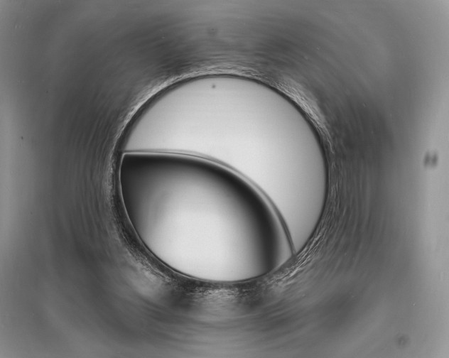 X0000096390156200801241125