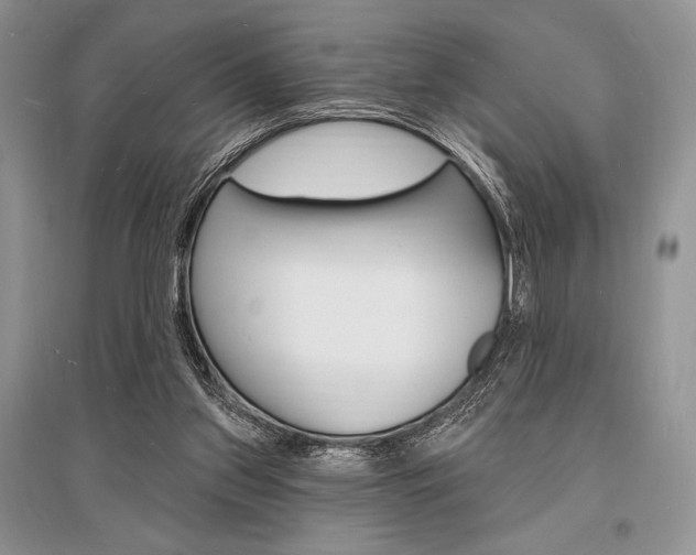 X0000096390157200801241125