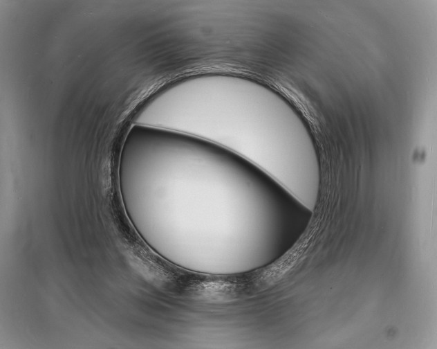 X0000096390158200801241125