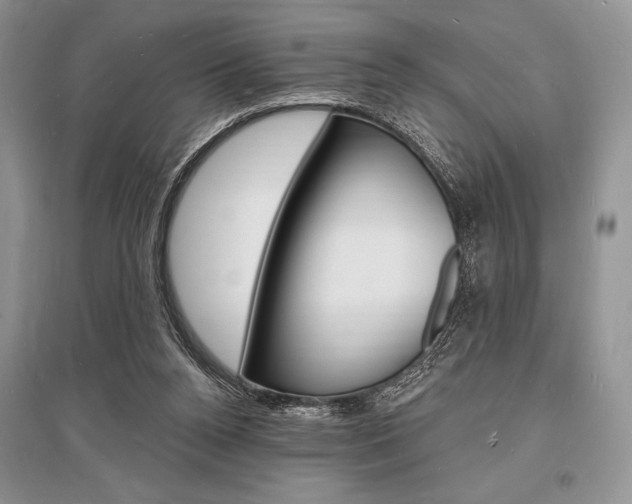 X0000096390160200801241125