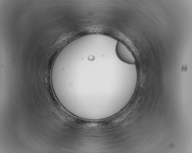 X0000096390161200801241125
