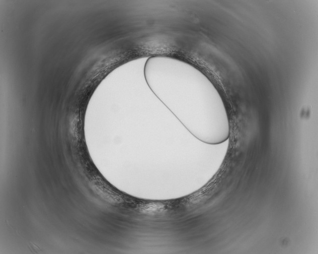 X0000096390162200801241125