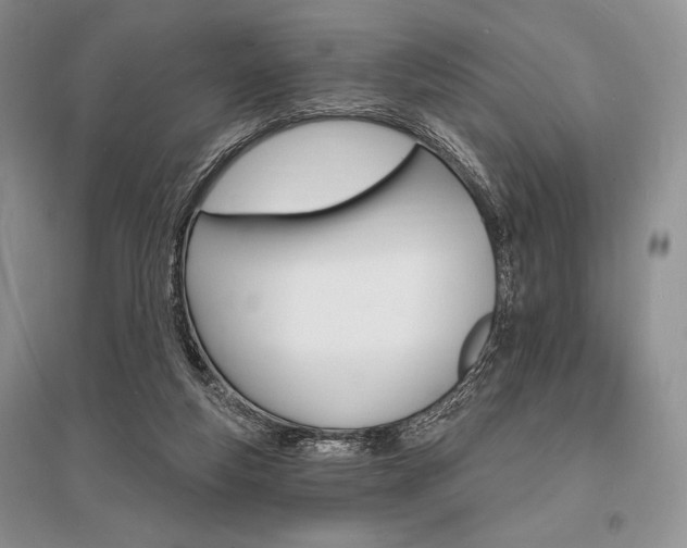 X0000096390163200801241125