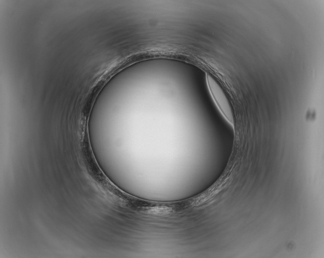 X0000096390168200801241125