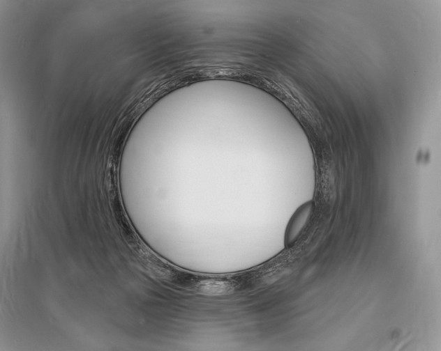 X0000096390169200801241125