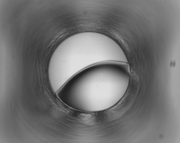X0000096390170200801241125