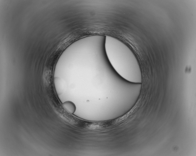 X0000096390171200801241125