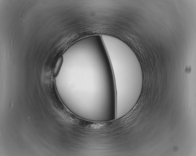 X0000096390172200801241125