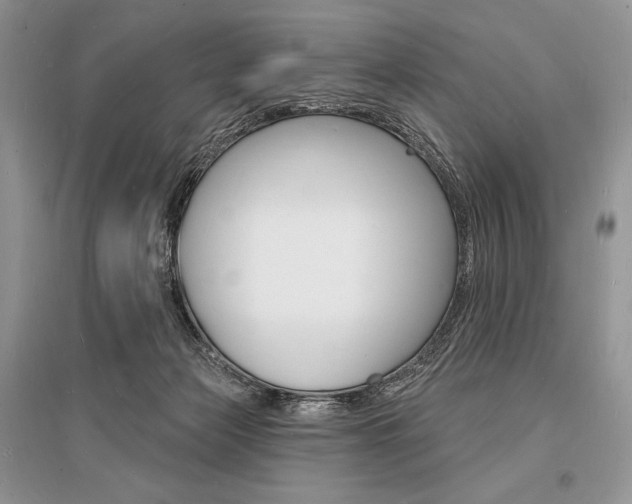 X0000096390173200801241125