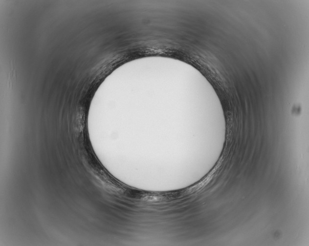 X0000096390174200801241125