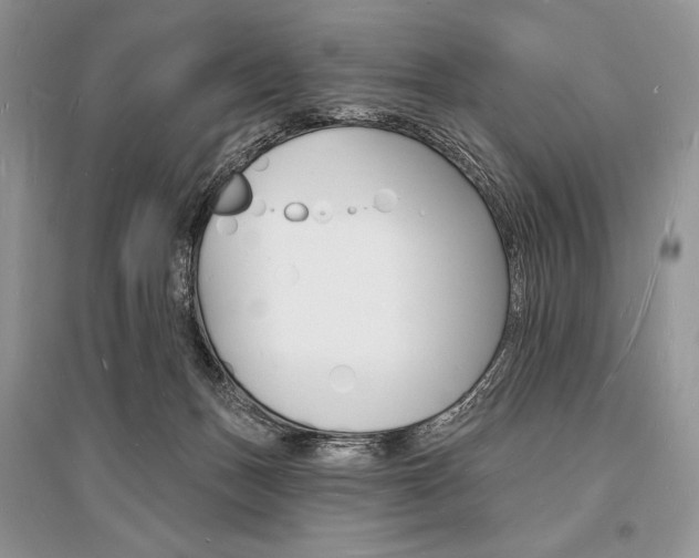 X0000096390175200801241125