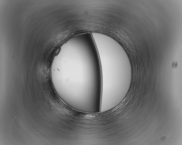 X0000096390176200801241125