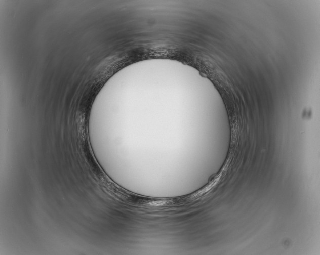 X0000096390178200801241125