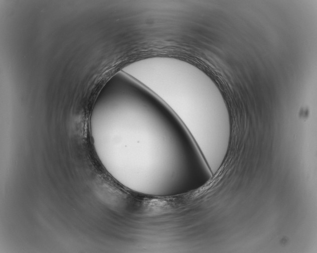 X0000096390180200801241125
