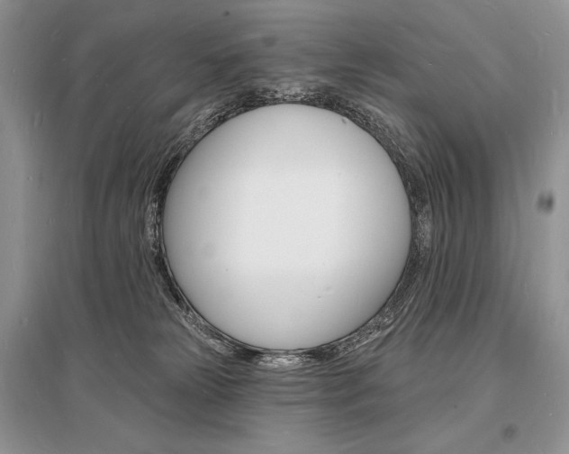 X0000096390181200801241125