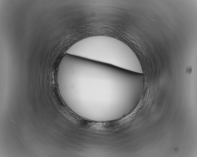 X0000096390182200801241125