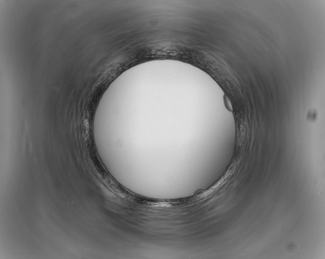 X0000096390183200801241125