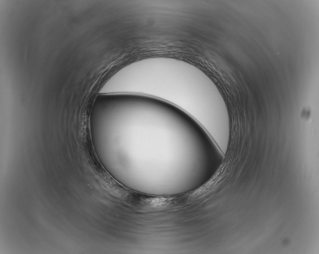 X0000096390184200801241125